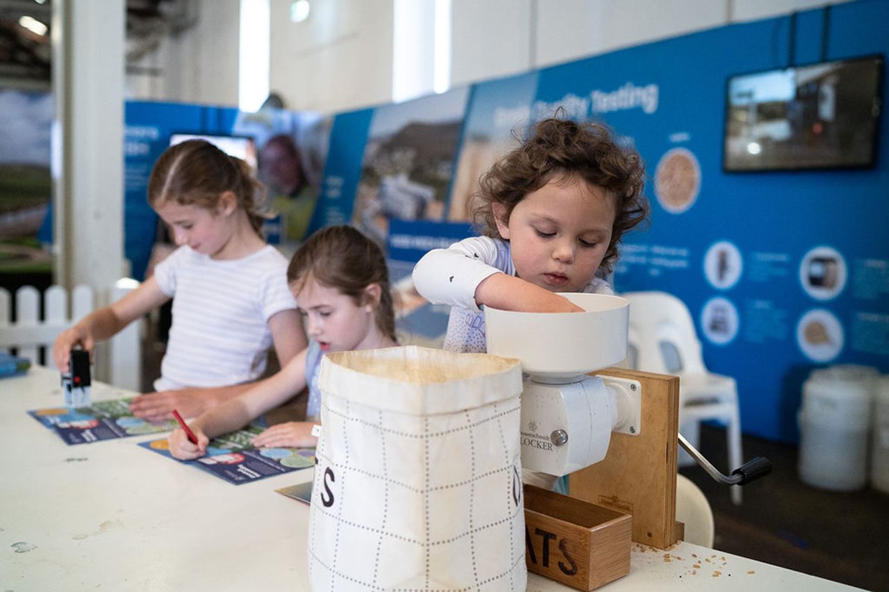 kids grain learn 