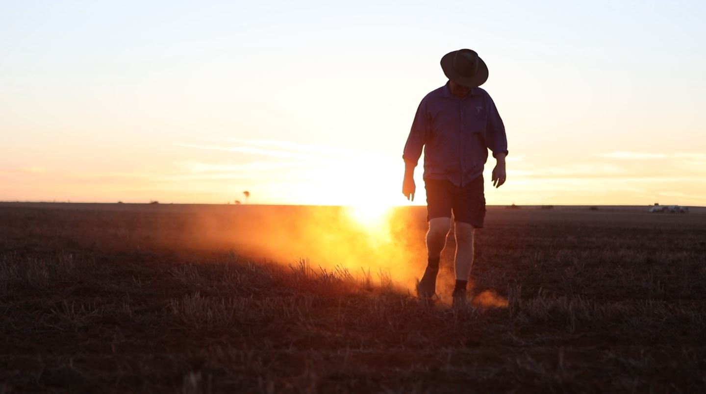 Sunset dust