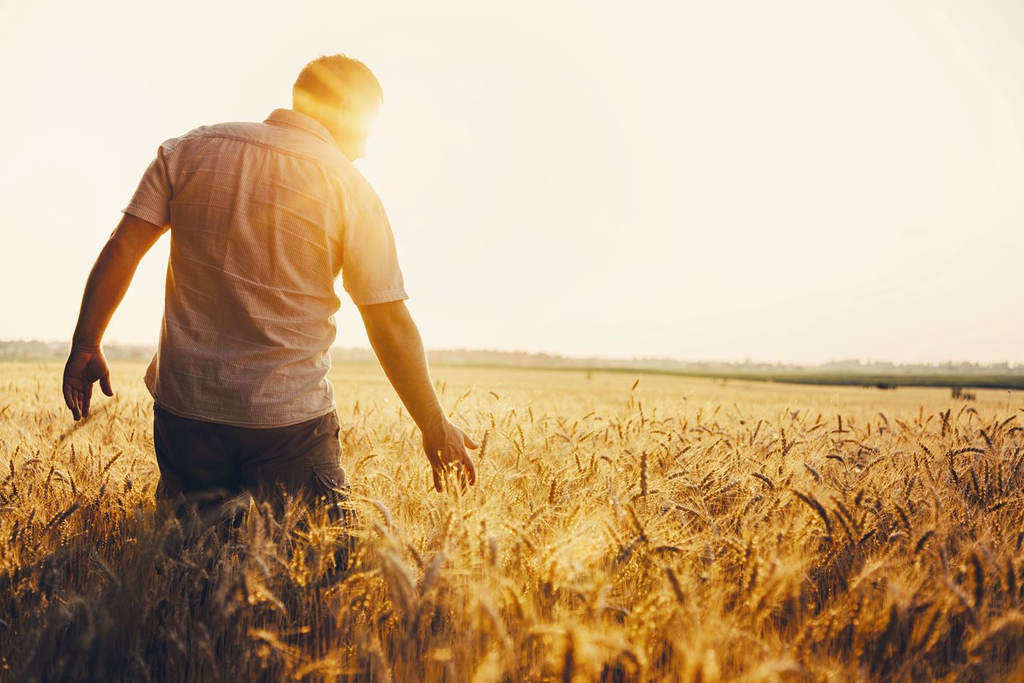 man in crop at sunset