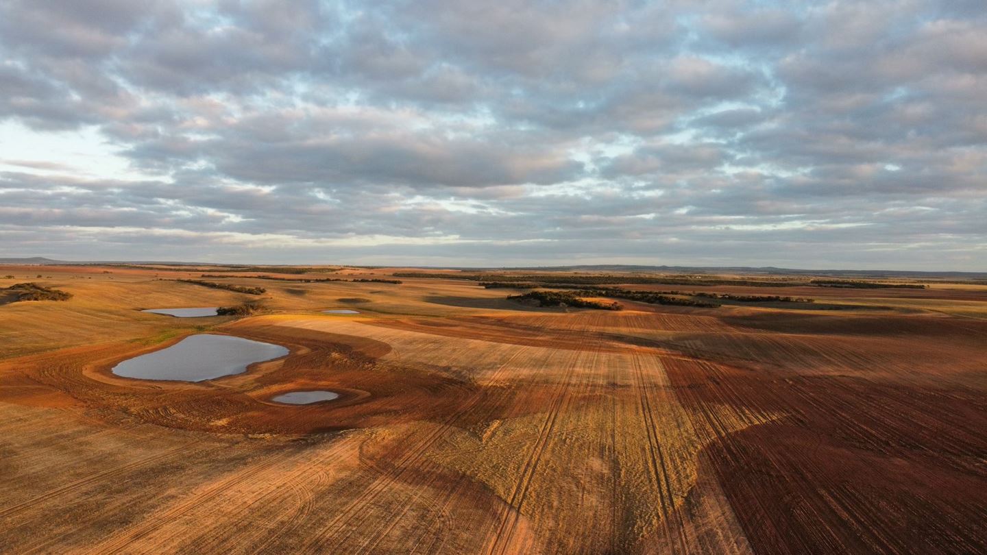 Aerial view of bare paddock