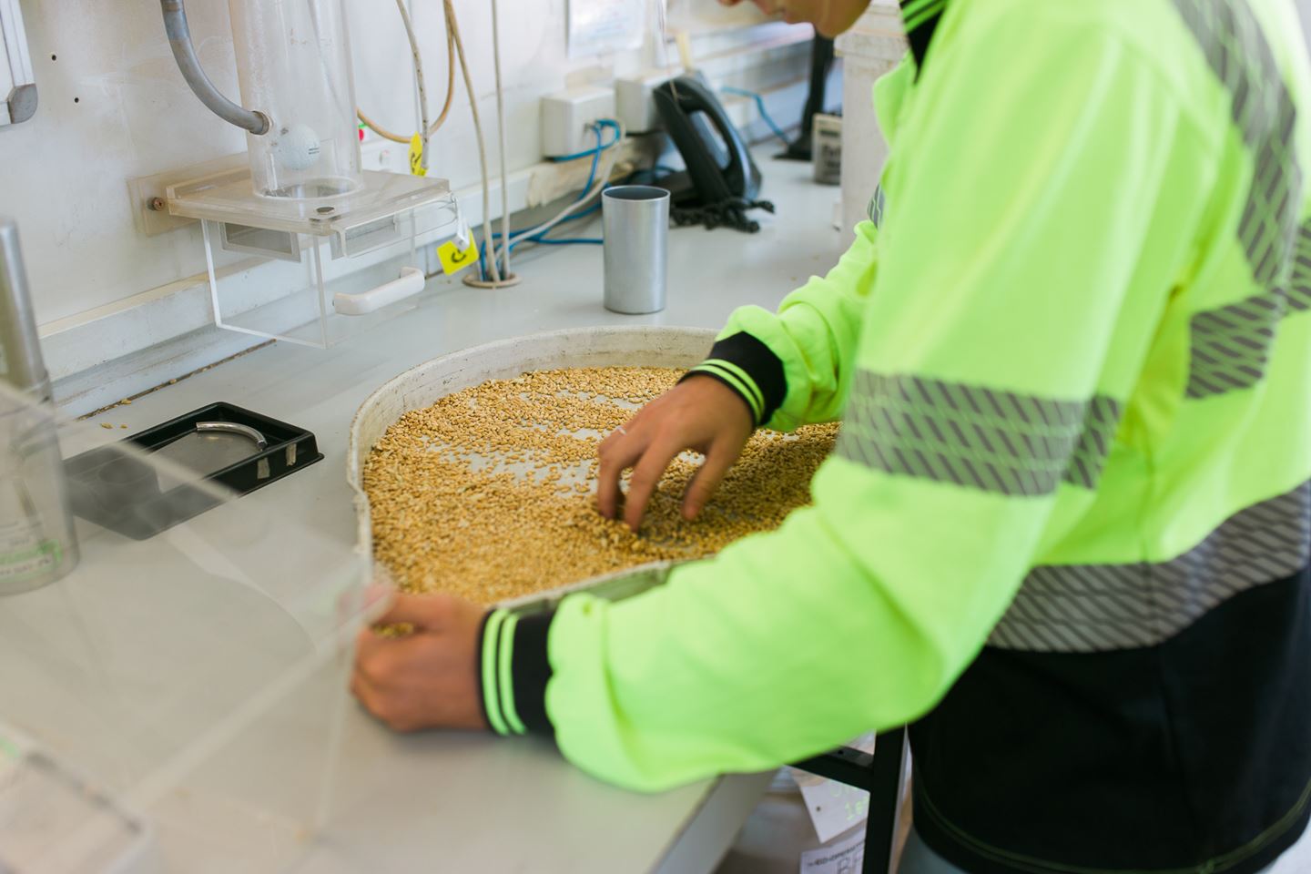 Grain quality - CBH