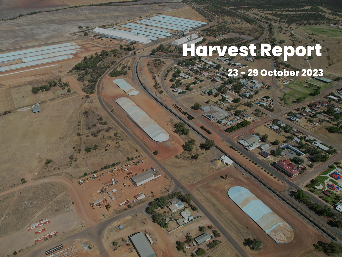 Harvest Report - 30 October