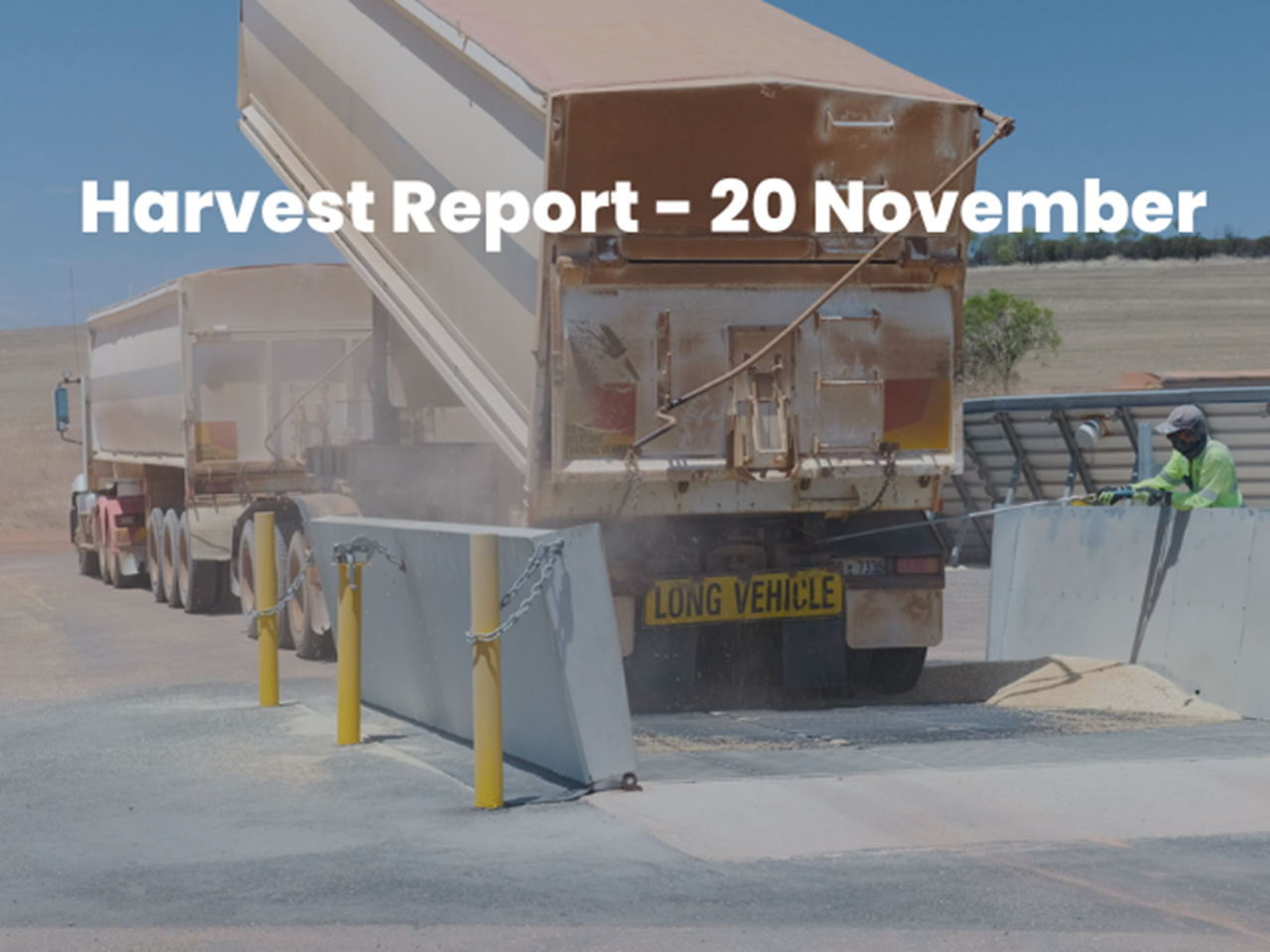 Image displays a truck unloading into a grid that has the text "Harvest Report - 20 November."