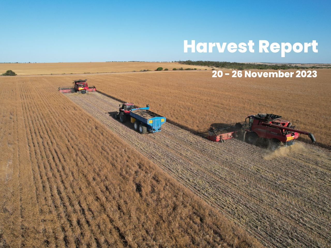 A header and chaser bins harvesting in a field - text says Harvest Report 27 November