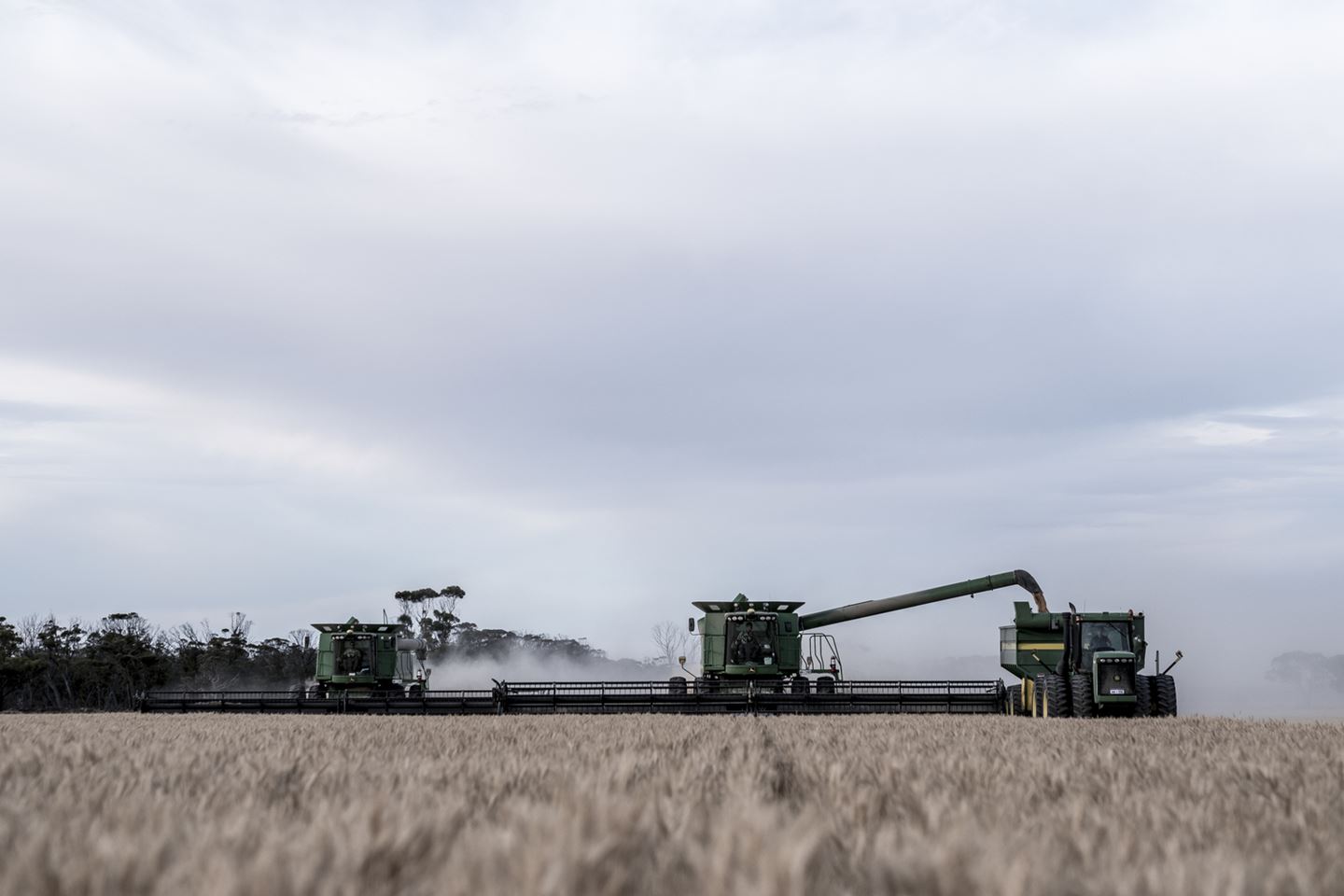 Header and chaser bin under a cloudy sky during harvest
