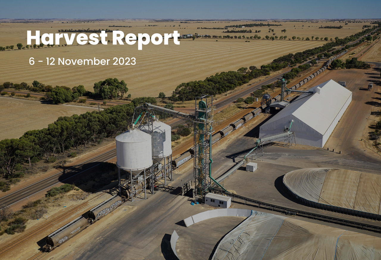 Image of harvest at CBH Dalwallinu