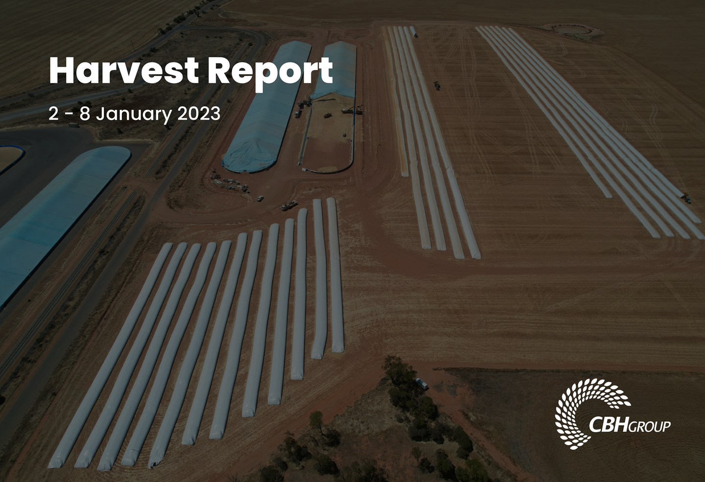 Image of Harvest Report for 9 January with grain bags in background