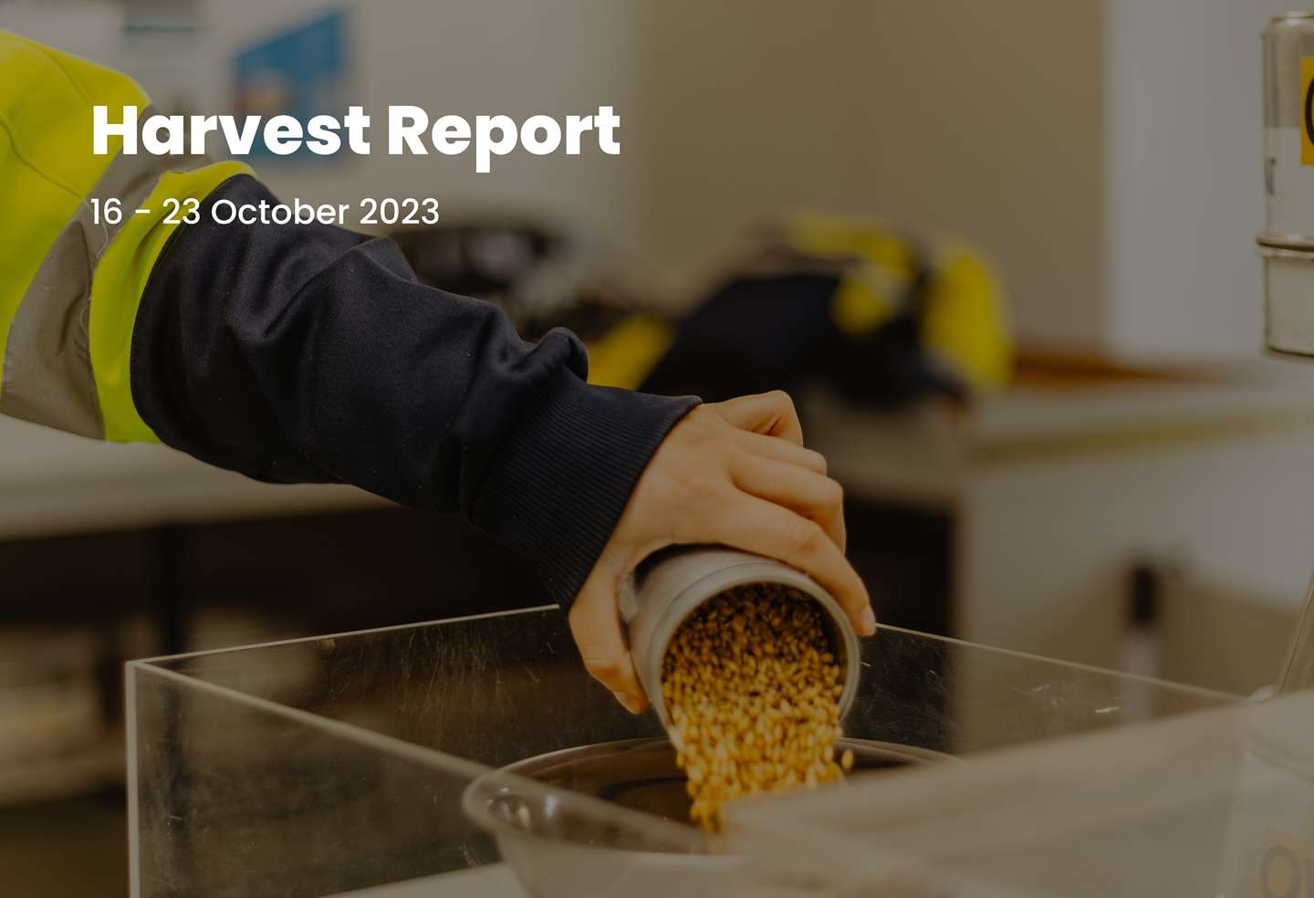 Harvest report for 23 October