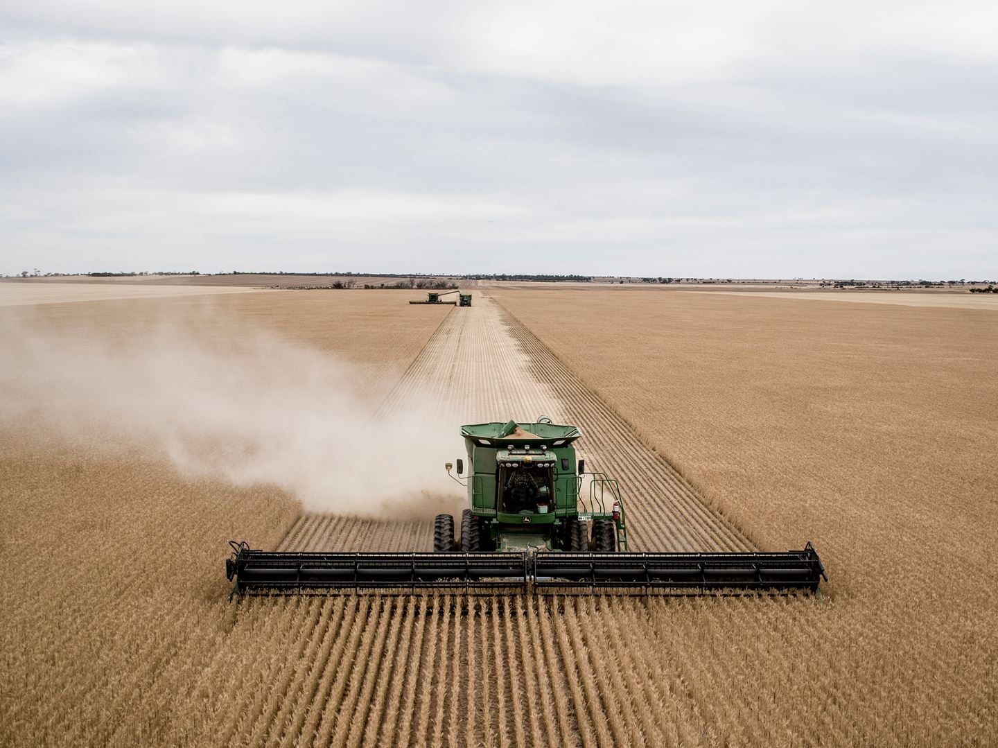 A front on view of a green harvester making its way through a large golden paddock