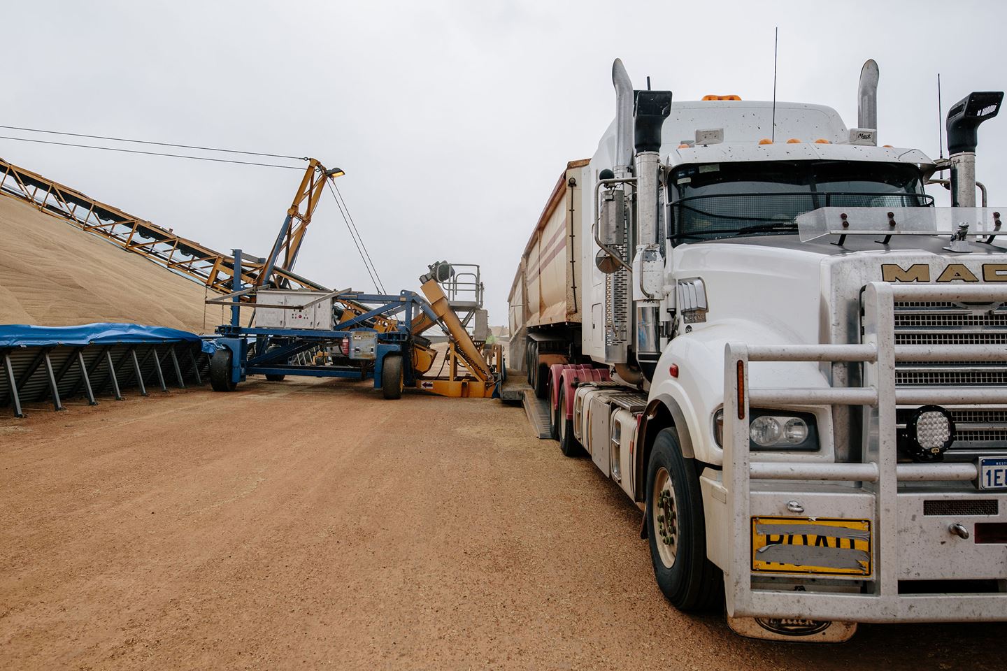 A truck parked alongside an open bulkhead full of golden grain