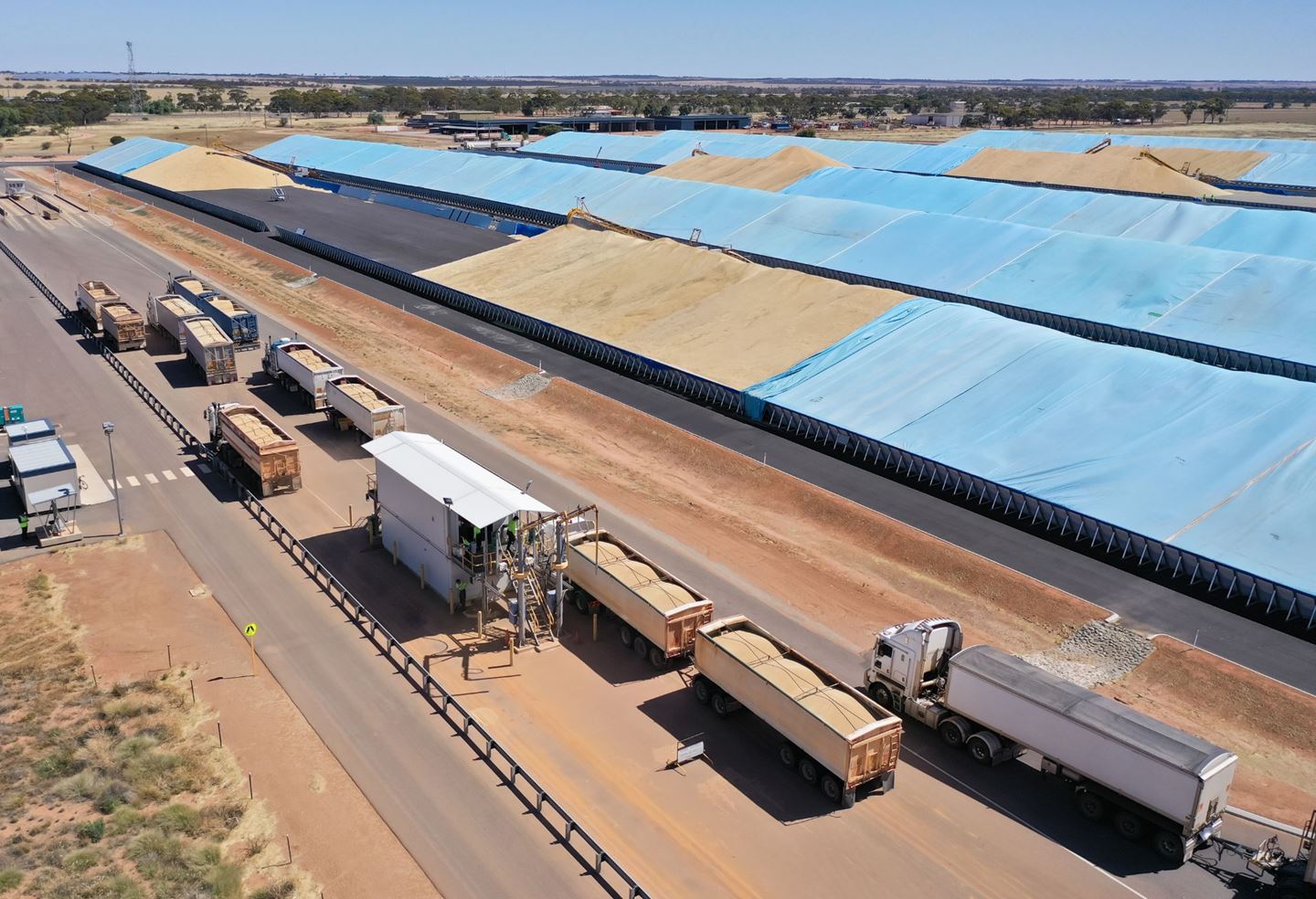 Trucks with grain at CBH site