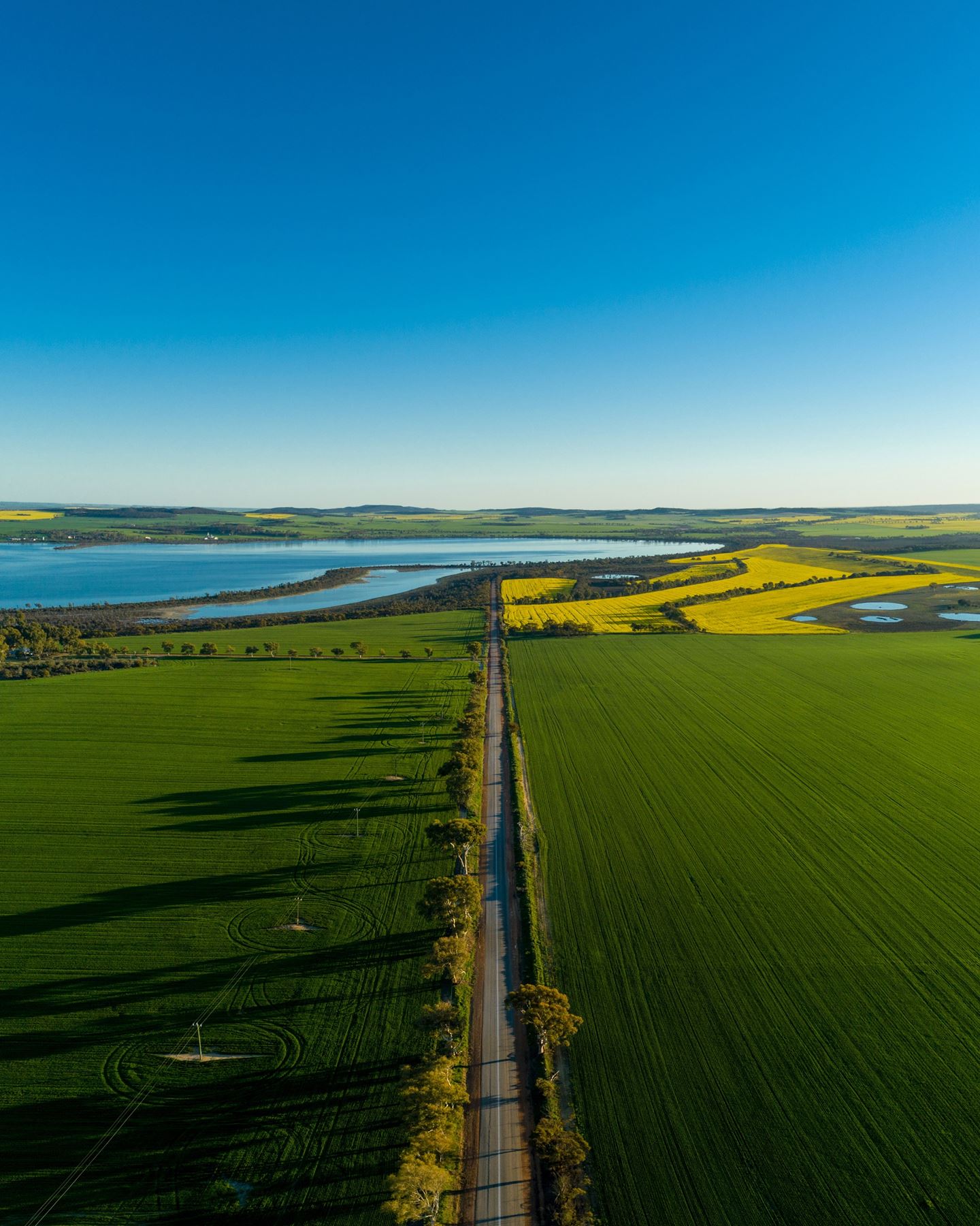 Aerial shot of two green paddocks with a lake in the background