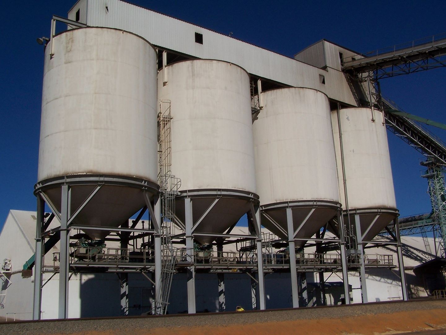 Upward shot of CBH circular grain silos with a blue sky at Northampton receival site.