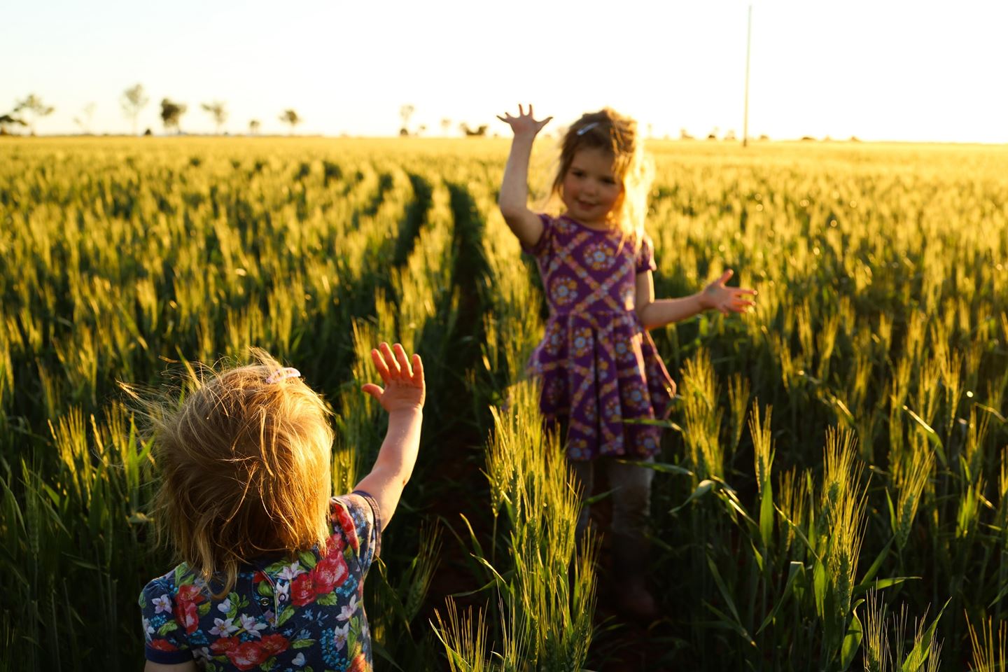 Children in field