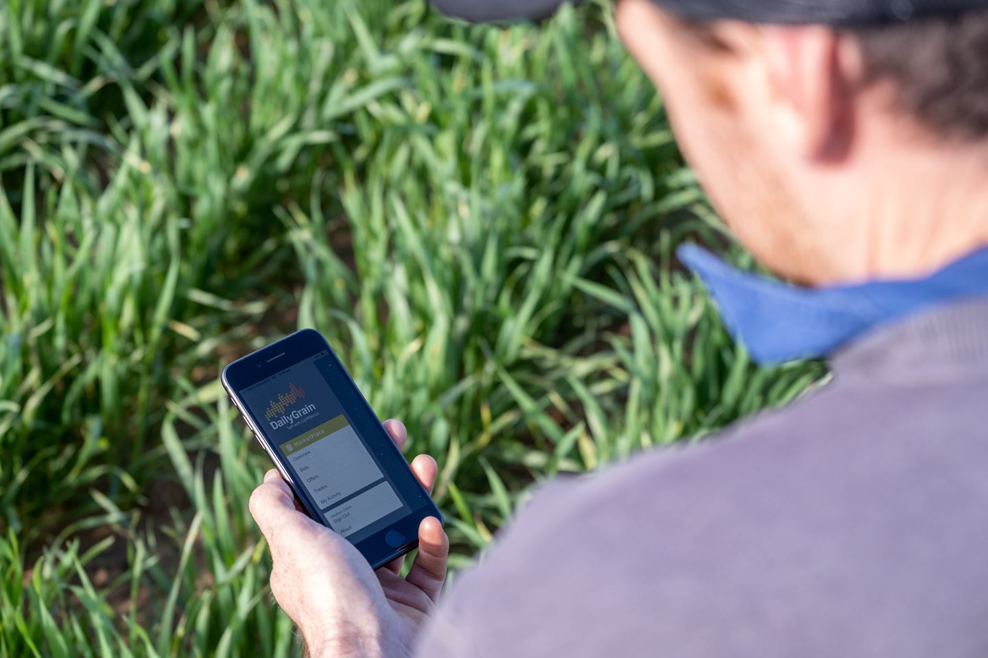 Grower using DailyGrain app