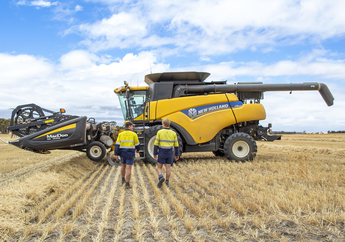Harvest on the farm