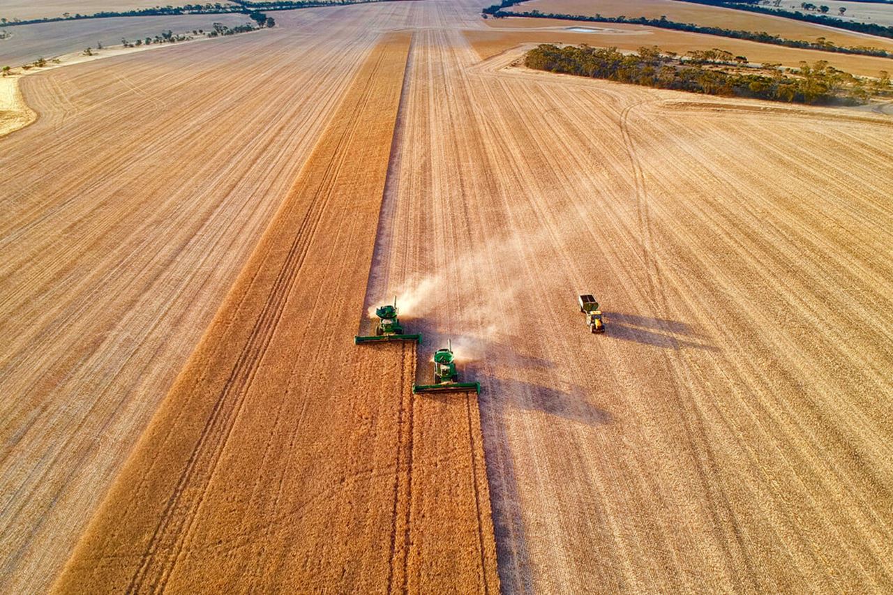 Harvest